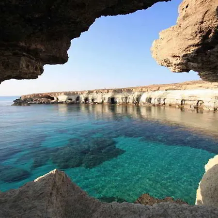 Margarita Napa Αγία Νάπα