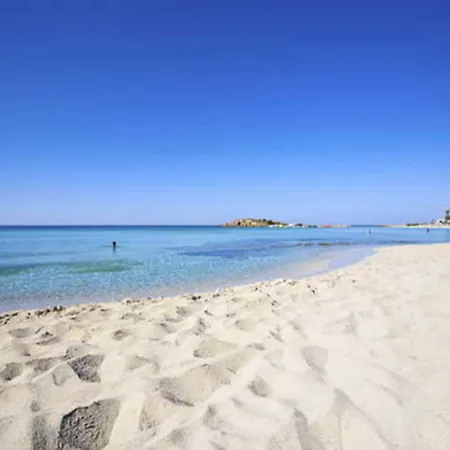 Margarita Napa Ayia Napa