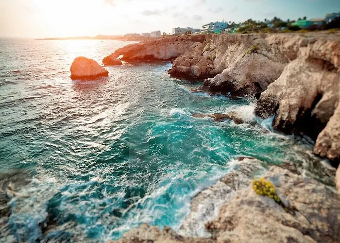 Aparthotel Margarita Napa